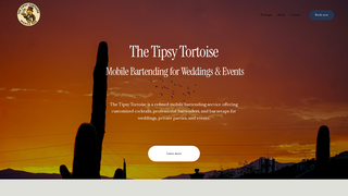 Thumbnail of the-tipsy-tortoise.com