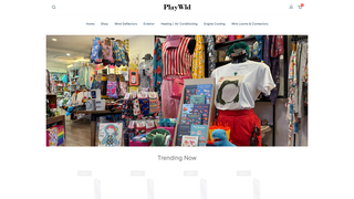 Thumbnail of playfulworldtoys.com