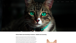 Thumbnail of divinefelineazgrooming.com