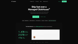 Screenshot of tinybirdai.com