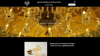 Thumbnail of bulbsonlyshop.com