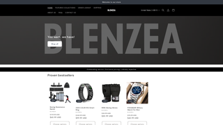 Thumbnail of blenzea.com
