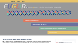 Site preview