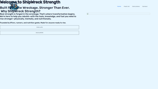 Thumbnail of shipwreckstrength.com
