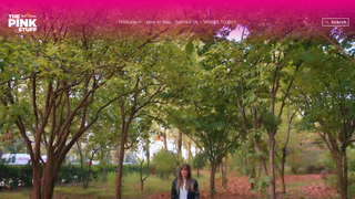 Thumbnail of thepinkstuffcy.com