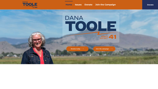 Thumbnail of danatooleformontana.com