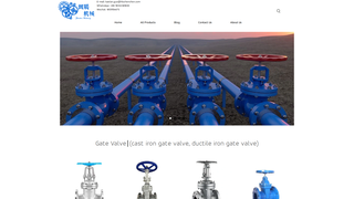 Thumbnail of zhenchenvalvecn.com
