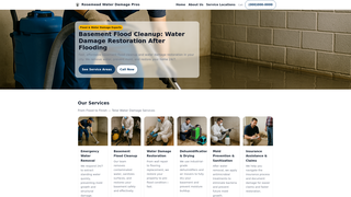 Thumbnail of waterdamagerosemead.com