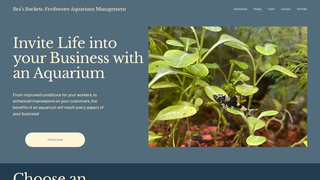 Screenshot of beasbuckets.com