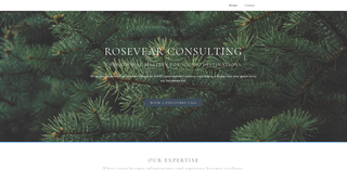 Thumbnail of rosevearconsulting.com