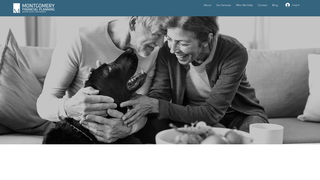 Thumbnail of mfp-financial.com