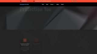 Thumbnail of championsecuritynewyork.com