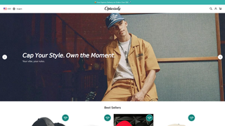 Thumbnail of optwisely.com