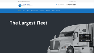 Thumbnail of cargolinkexpressinc.com
