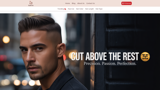 Thumbnail of hairoist.com