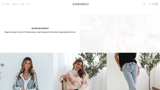 Thumbnail of elisheandco.com