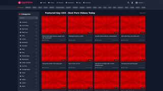 Thumbnail of gayvidster.com