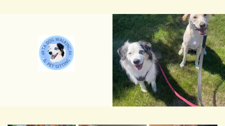 Thumbnail of tadogwalking.com
