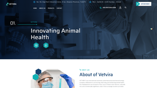 Thumbnail of vetvira.com