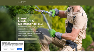 Thumbnail of elamigolandcare.com