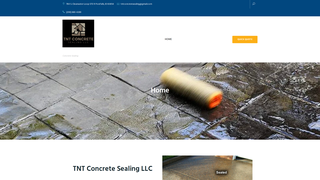 Thumbnail of tntconcretesealing.com