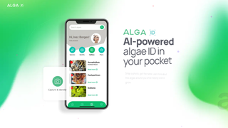 Thumbnail of alga-id.com