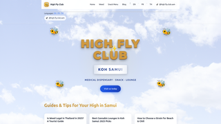 Thumbnail of highflyclubs.com