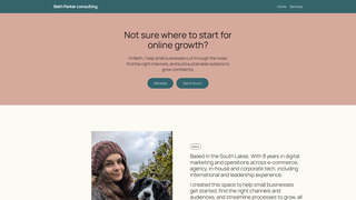 Thumbnail of bethparkerconsulting.com