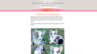 Thumbnail of bluemerlepembroke.com