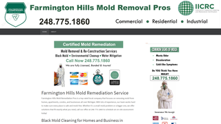 Thumbnail of farmingtonhillsmoldremediation.com