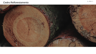 website thumbnail