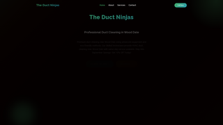 Thumbnail of theductninjasil.com
