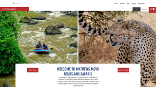 Thumbnail of mathewstoursandsafaris.com