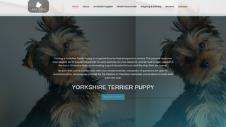 Thumbnail of daleyorkie.com