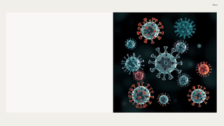 Thumbnail of arkin-research.com