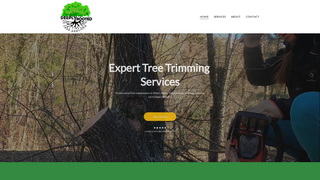 Thumbnail of deeplyrootedtreeservices.com