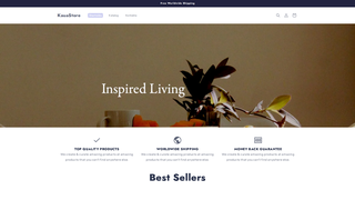 Thumbnail of kauastore.com