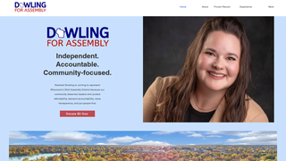 Screenshot of dowlingforassembly.com