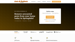 Thumbnail of antsrodentsspringdale.com