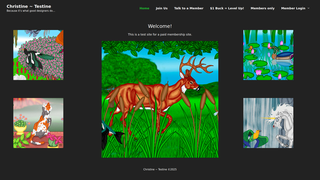Thumbnail of testinechristine.com
