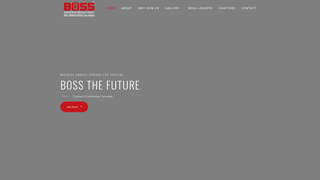 Thumbnail of bosskerala.com