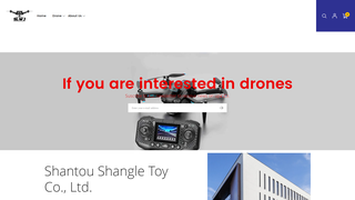 Thumbnail of shanleitoys.com