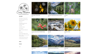 Thumbnail of cindyhopkins.com