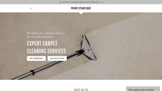 Thumbnail of primesteamcare.com