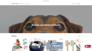Thumbnail of northpointsupplys.com