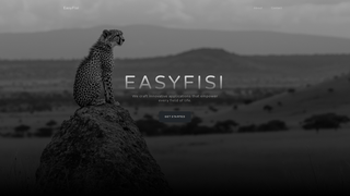 Thumbnail of easyfisi.com