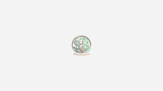 Thumbnail of sands-overseas.com