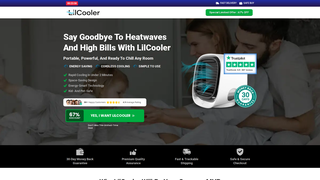 Thumbnail of lil-cooler.com