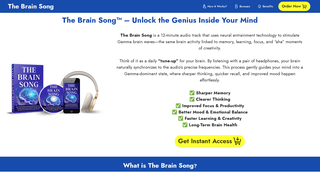 Thumbnail of thebransong.com
