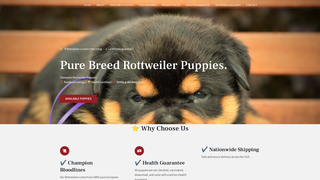 Thumbnail of jfrotties.com